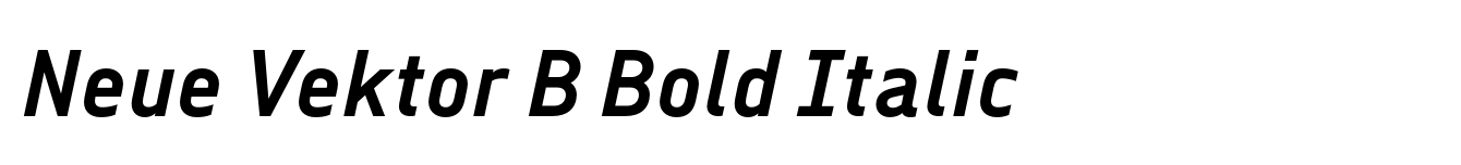Neue Vektor B Bold Italic